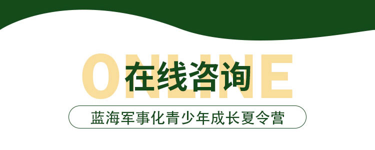 蓝海夏令营报名页面