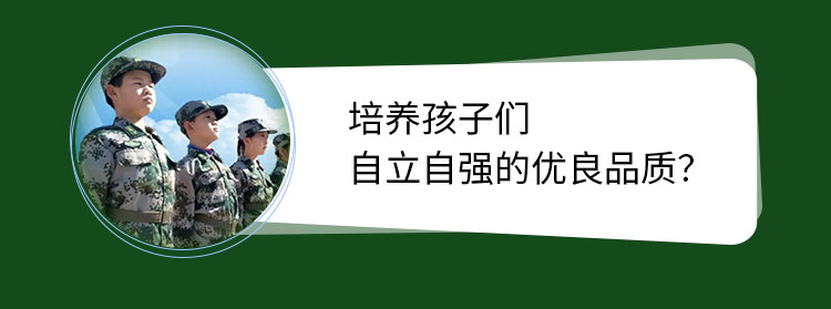 蓝海夏令营报名页面