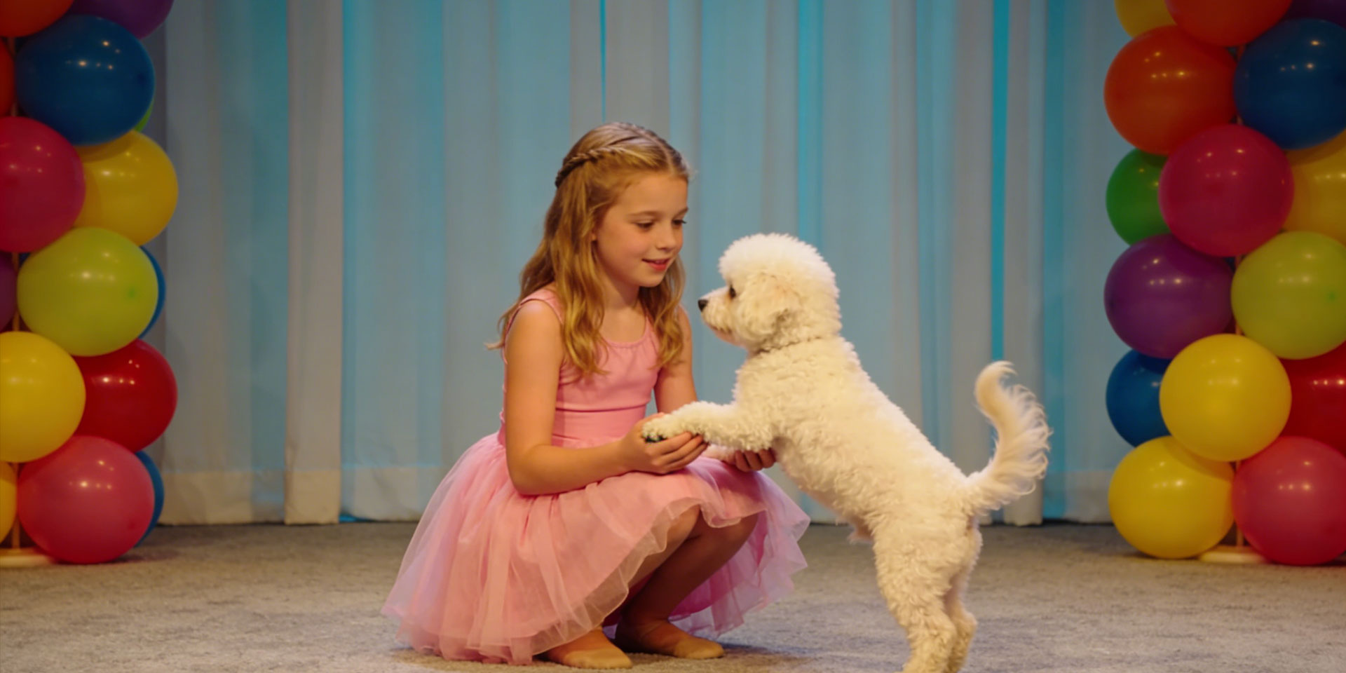 微信小程序-艾抚家小程序