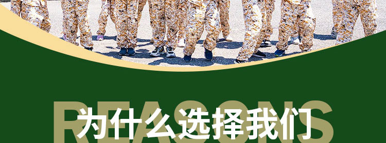 蓝海夏令营报名页面